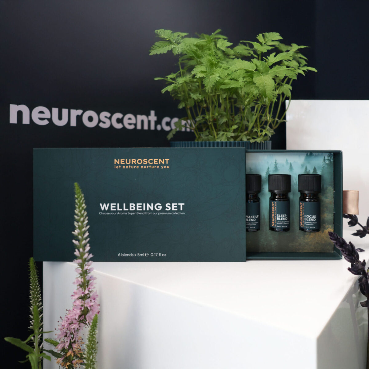NS-Wellbeing-Set-2025-2048x2048-2 NS-Wellbeing-Set-2025-2048x2048-2